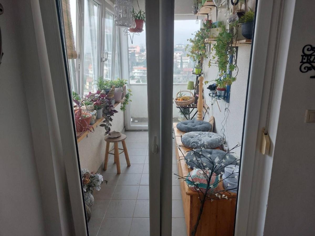 Apartments Franny Novi Vinodolski Zewnętrze zdjęcie